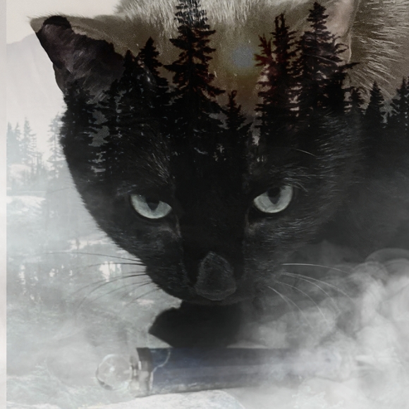 Meet your Posher, Jillian - Picture 1 of 4